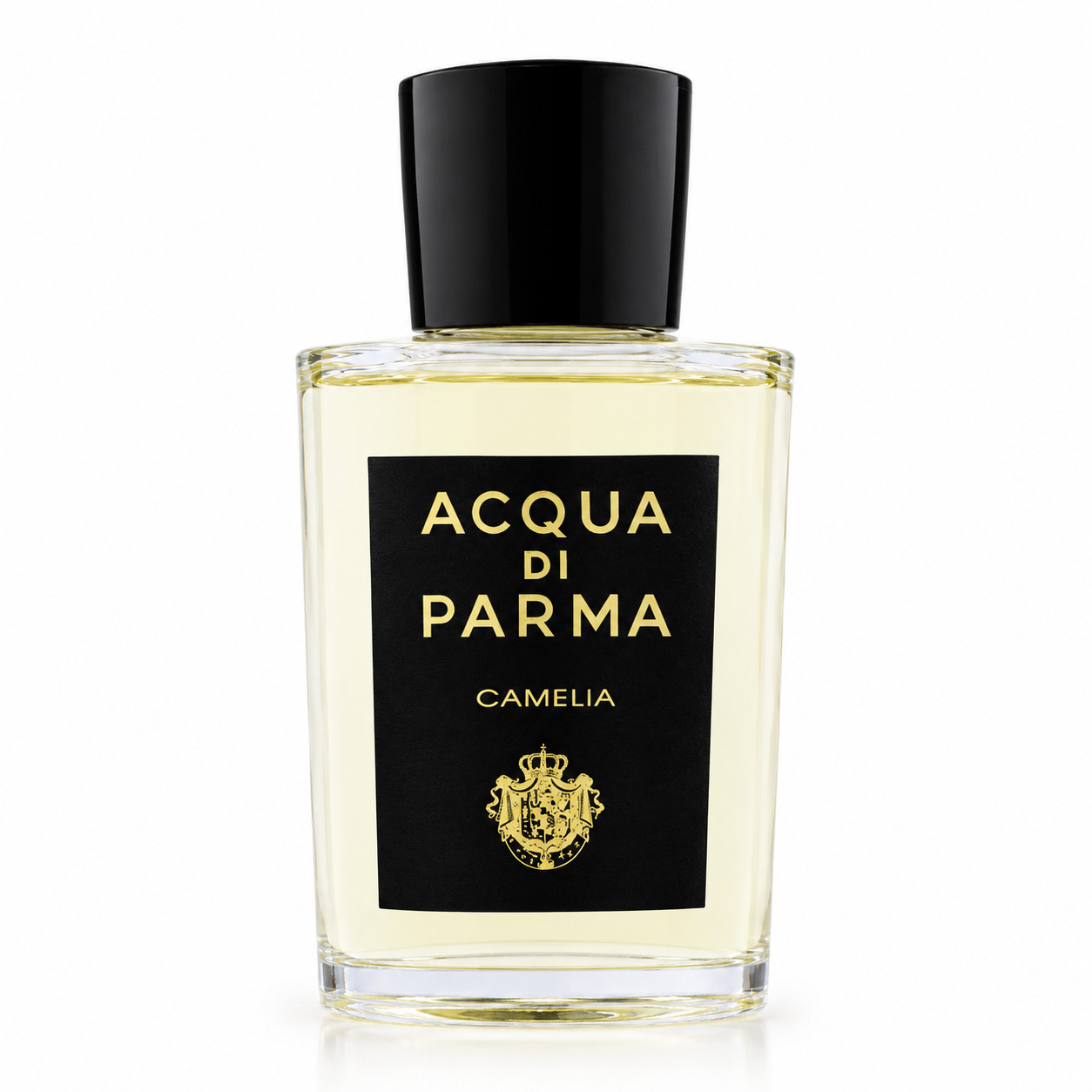 Camelia EdP