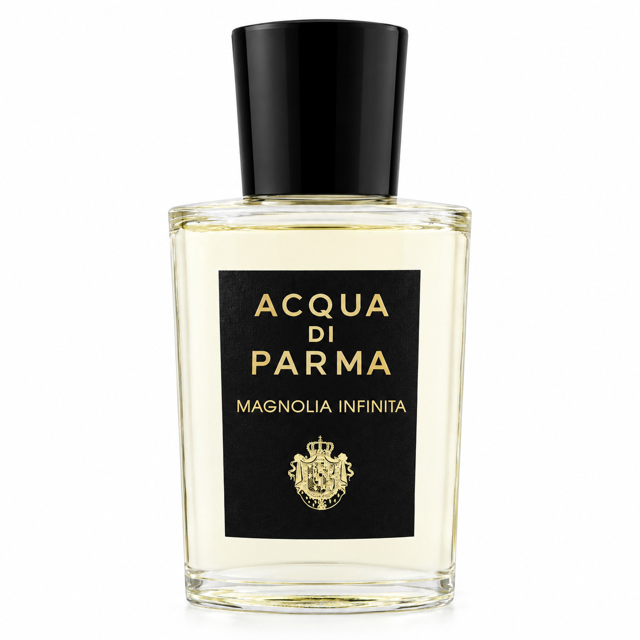 Magnolia Infinita EdP