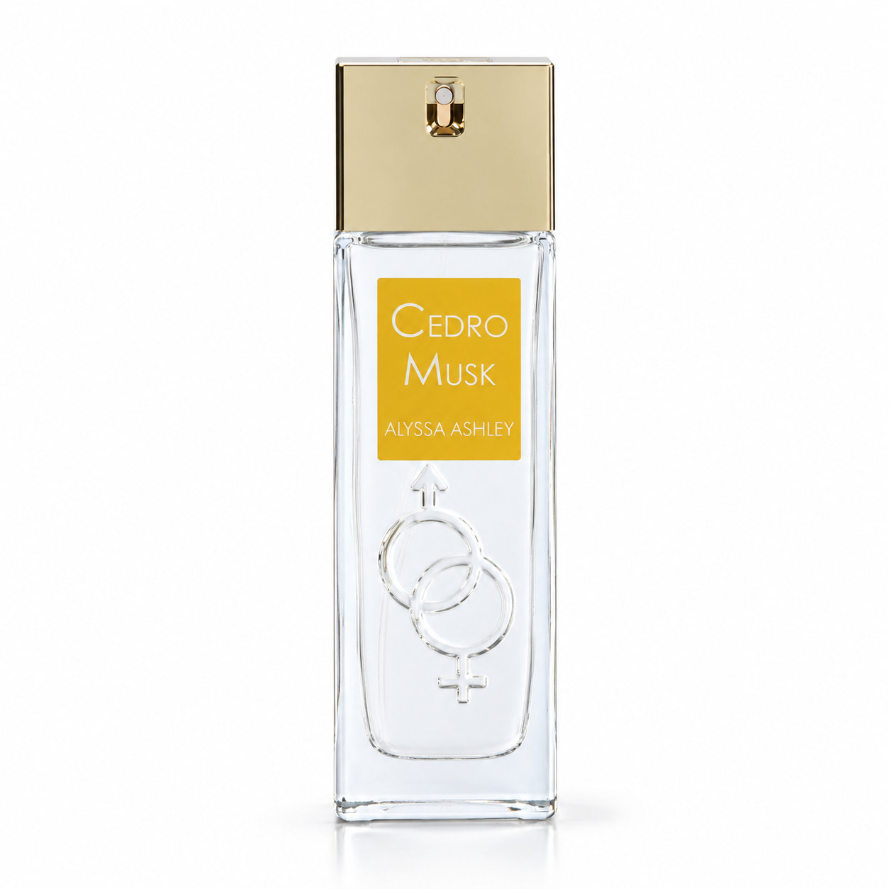 Cedro Musk EdP