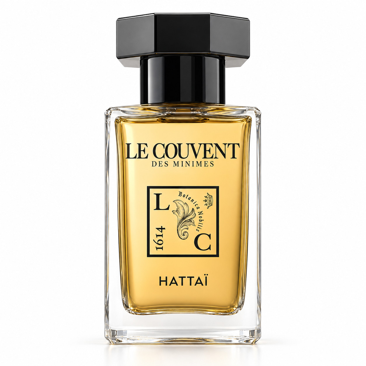 Hattai EdP