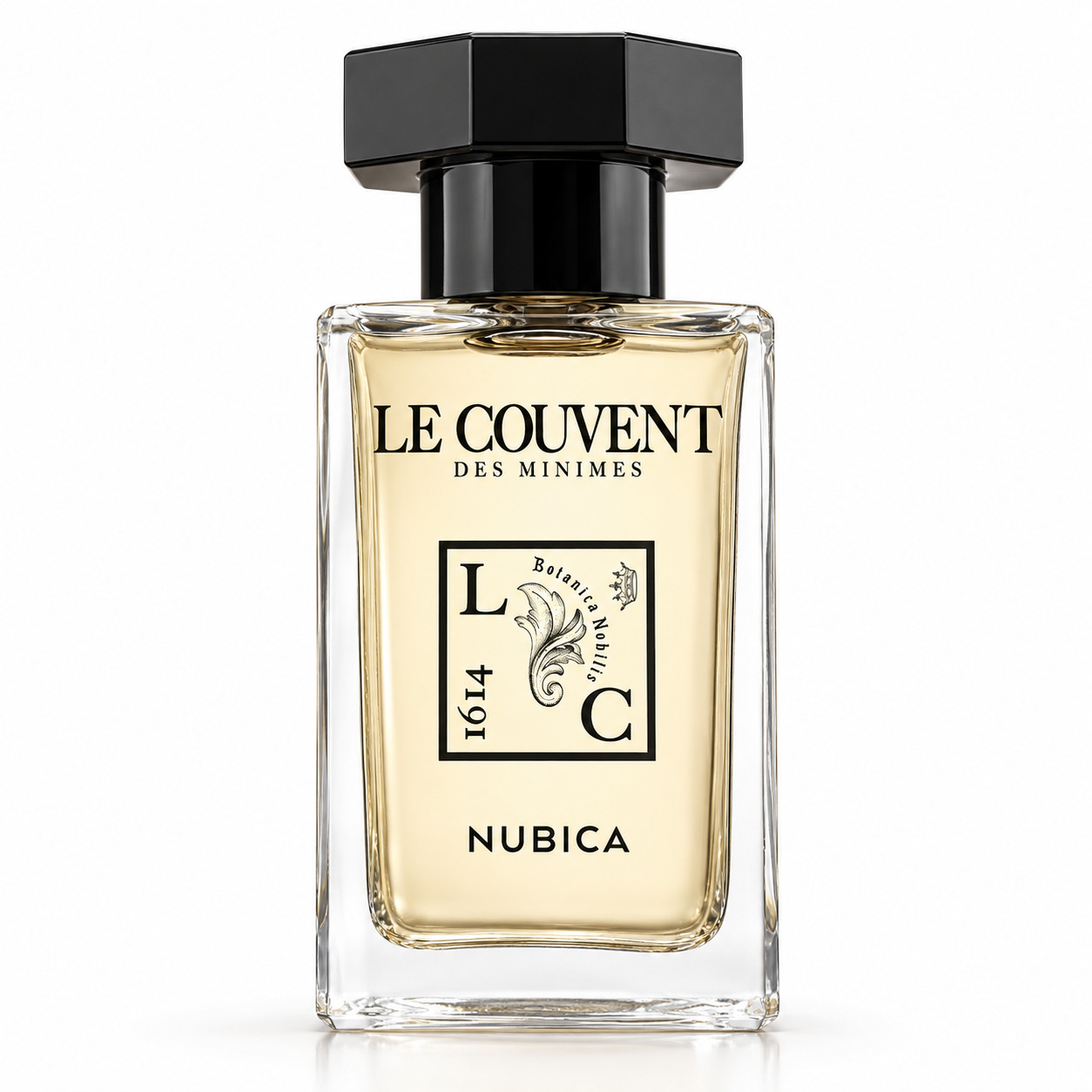 Nubica EdP