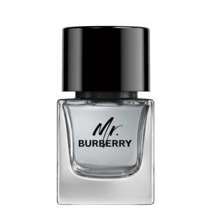 Burberry Mr. Burberry EdT 50ml