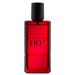 Davidoff Hot Water EdT 110ml
