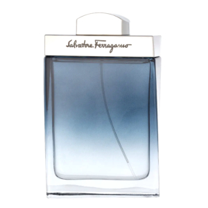 Ferragamo Subtil Pour Homme EdT 100ml
