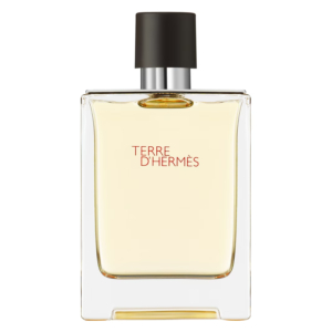 Hermes Terre d'Hermès EdT 100ml